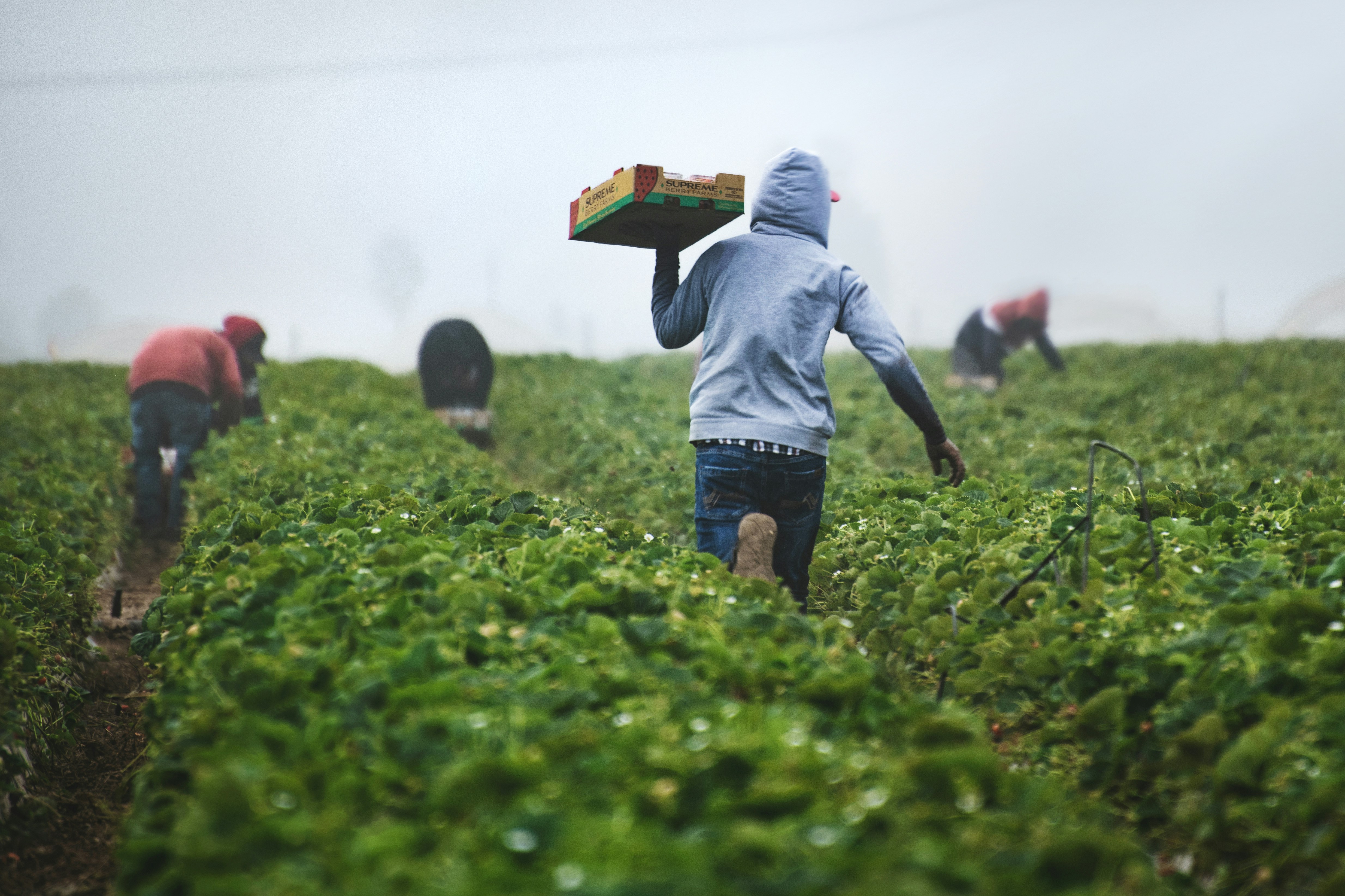 Logistics and agriculture partnership